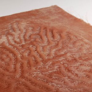 Slow Devored - création de motifs textiles dévorés par des insectes